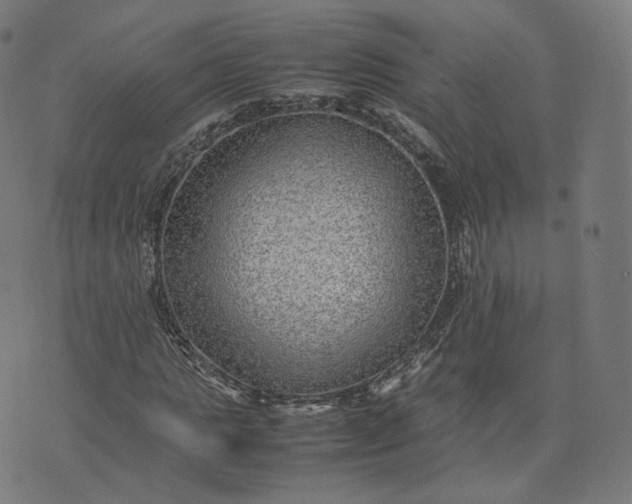 X0000070370821200606231645