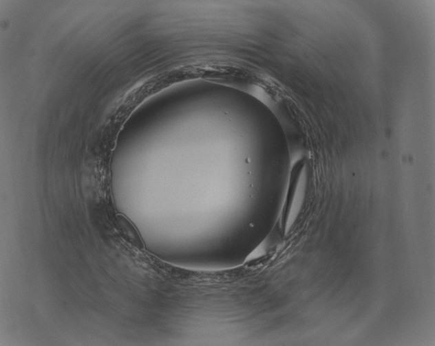 X0000070370822200606231645