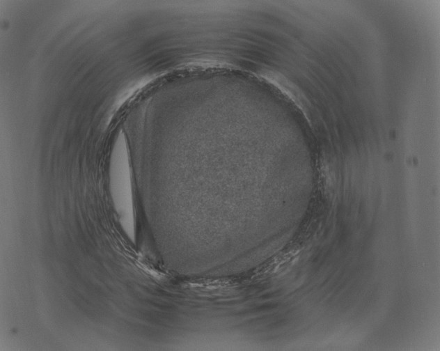 X0000070370823200606231645