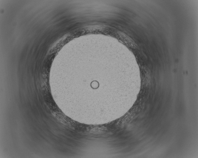 X0000070370824200606231645