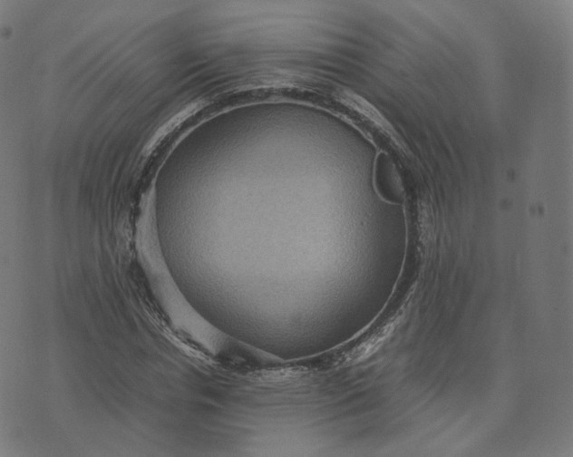 X0000070370826200606231645