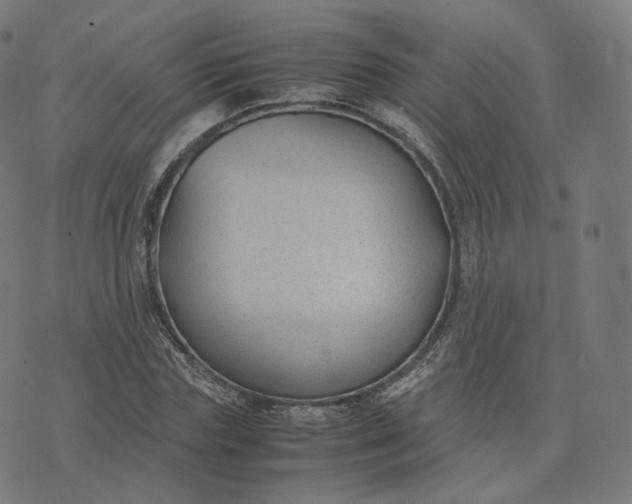 X0000070370827200606231645