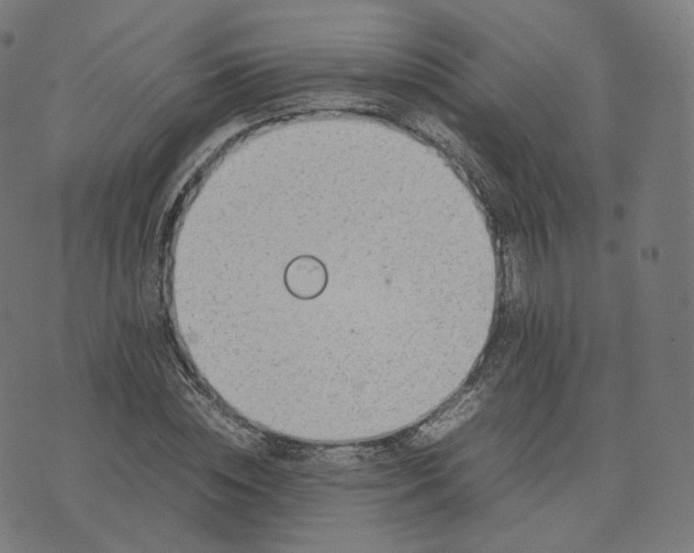 X0000070370828200606231645