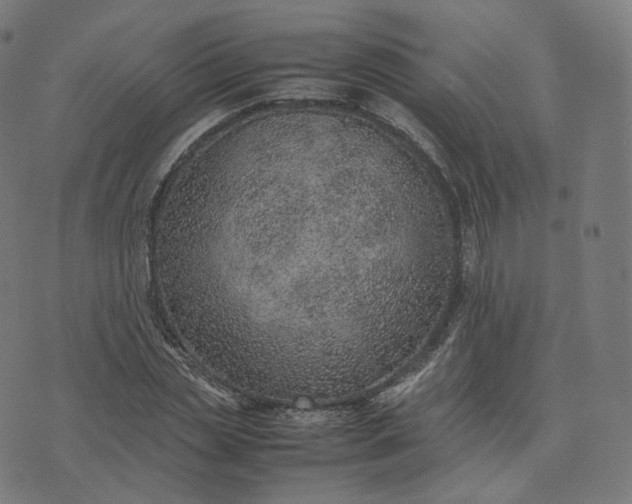 X0000070370829200606231645