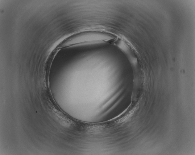 X0000070370830200606231645