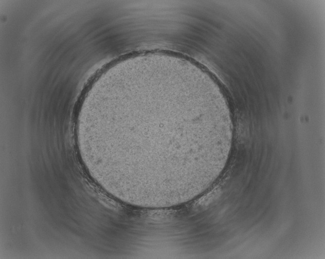 X0000070370832200606231645