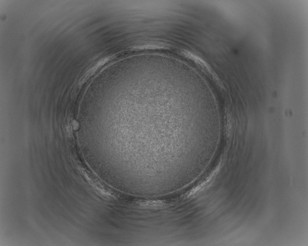 X0000070370833200606231645