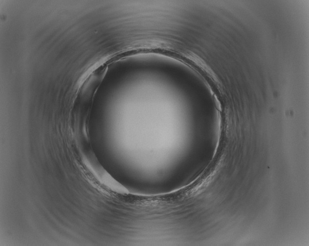 X0000070370834200606231645