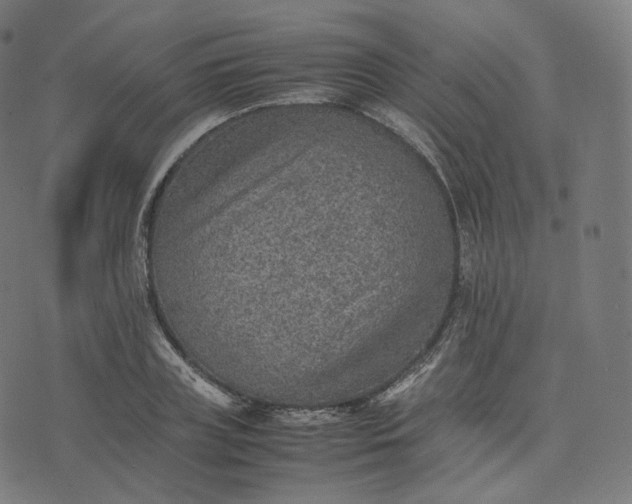 X0000070370835200606231645