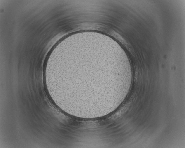 X0000070370836200606231645