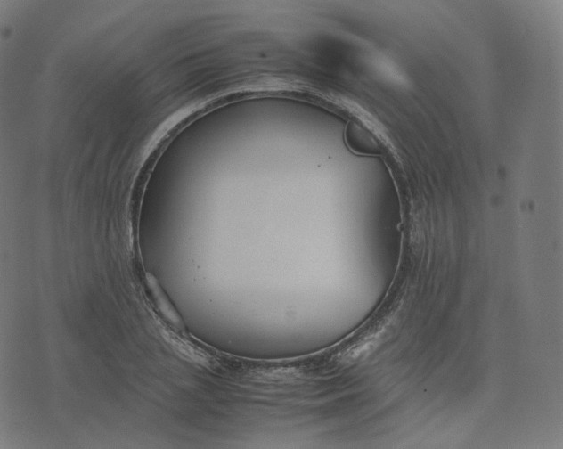 X0000070370837200606231645