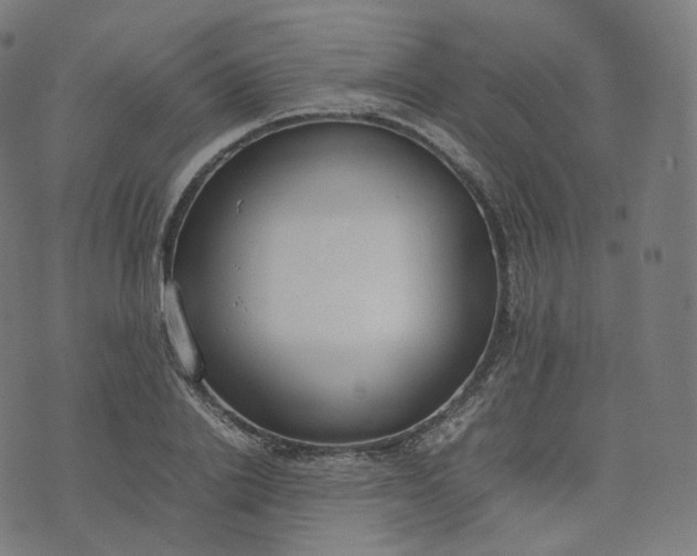 X0000070370838200606231645