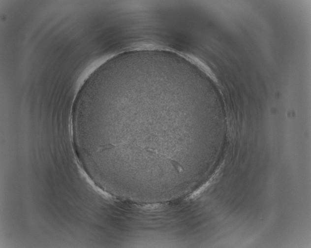 X0000070370839200606231645