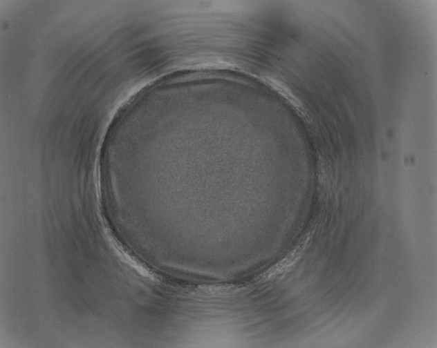 X0000070370840200606231645