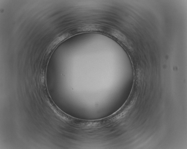 X0000070370841200606231645