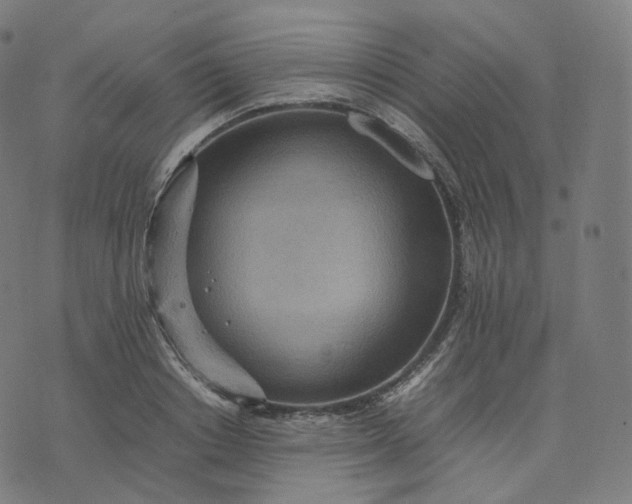 X0000070370842200606231645