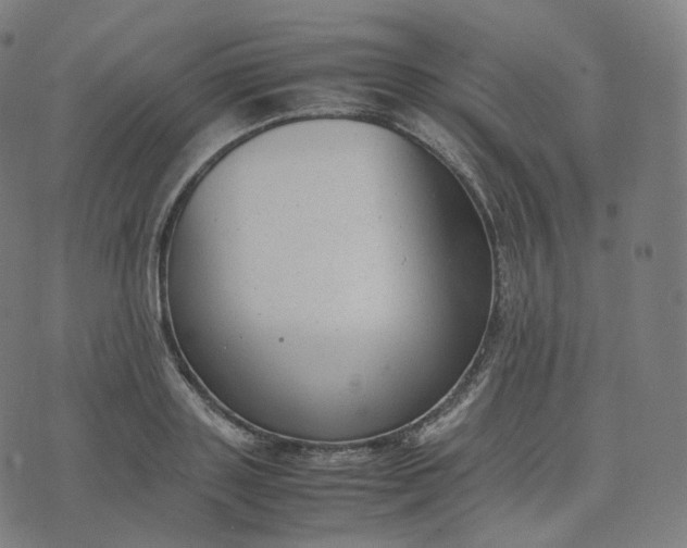 X0000070370843200606231645