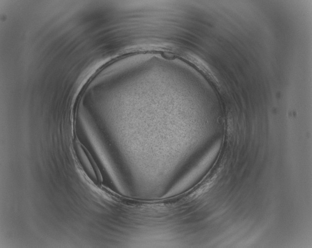 X0000070370844200606231645