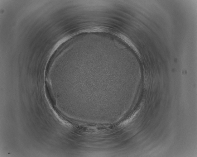 X0000070370845200606231645