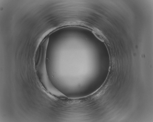 X0000070370846200606231645