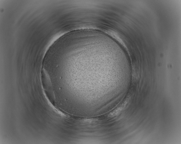 X0000070370847200606231645