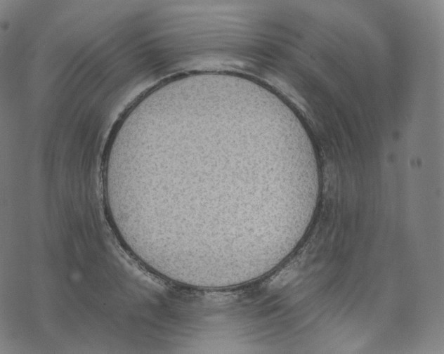 X0000070370848200606231645