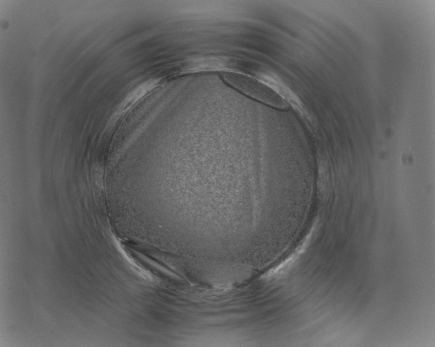 X0000070370849200606231645