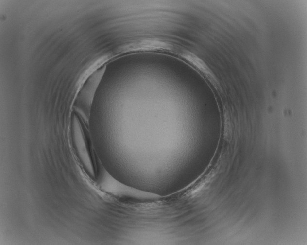 X0000070370850200606231645