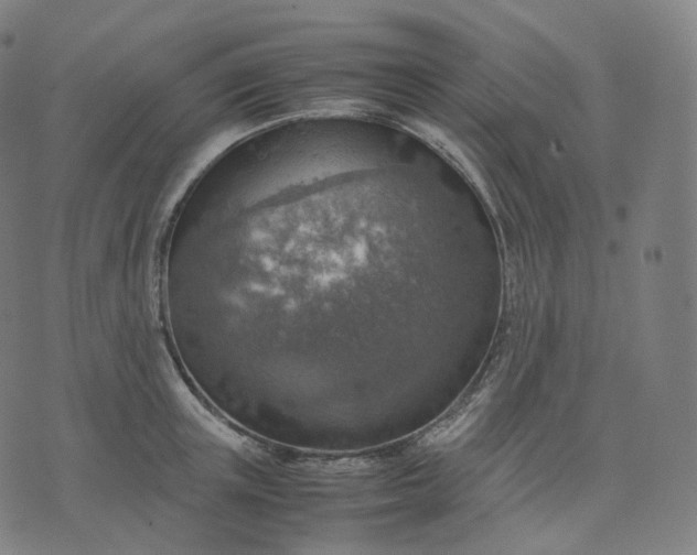 X0000070370851200606231645