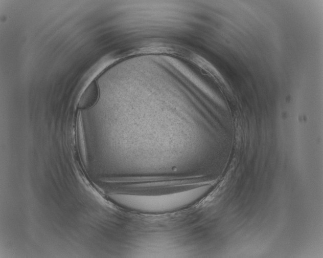 X0000070370852200606231645