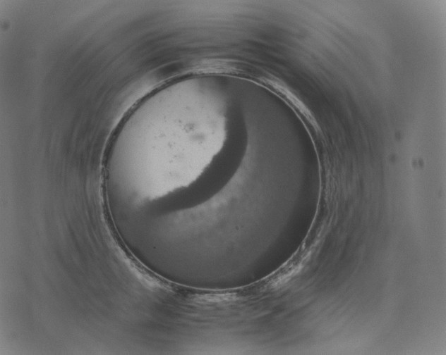 X0000070370853200606231645