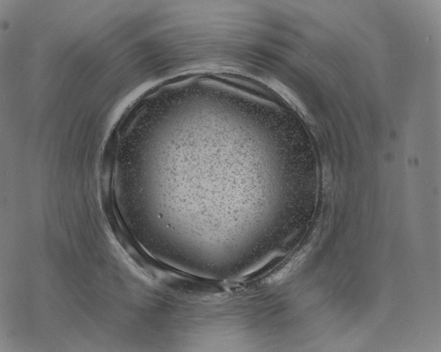 X0000070370854200606231645