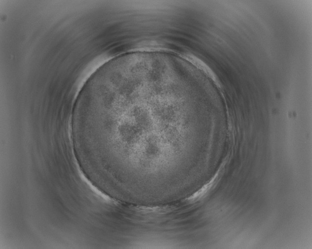 X0000070370855200606231645