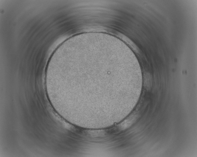 X0000070370856200606231645