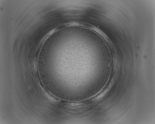 X0000070370857200606231645