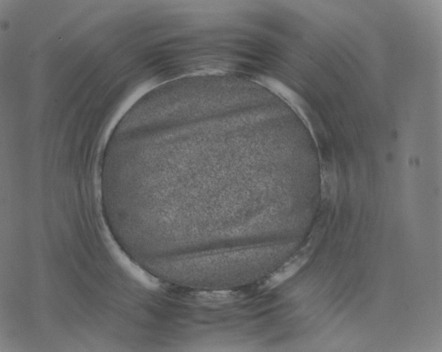 X0000070370859200606231645