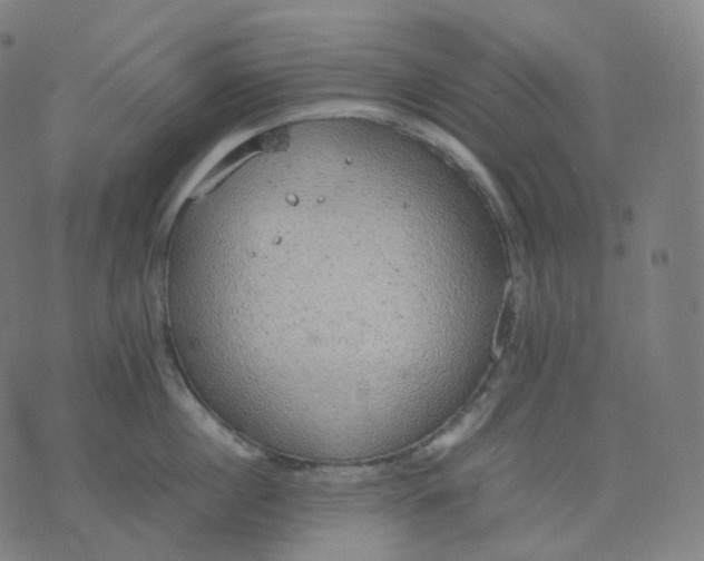 X0000070370860200606231645