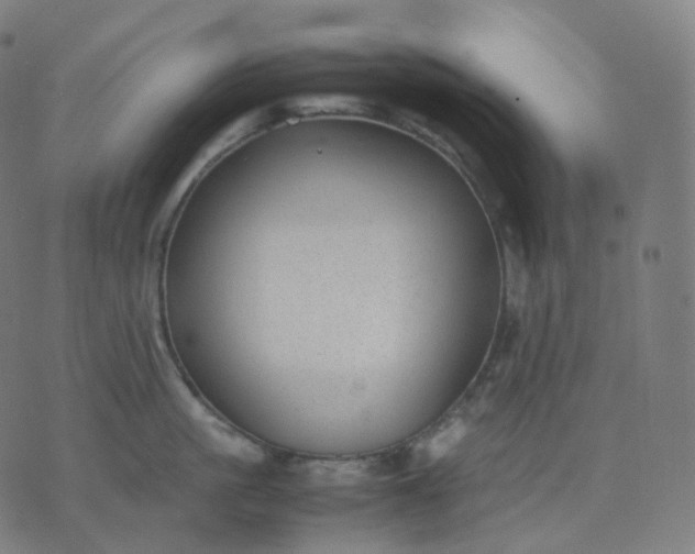 X0000070370861200606231645