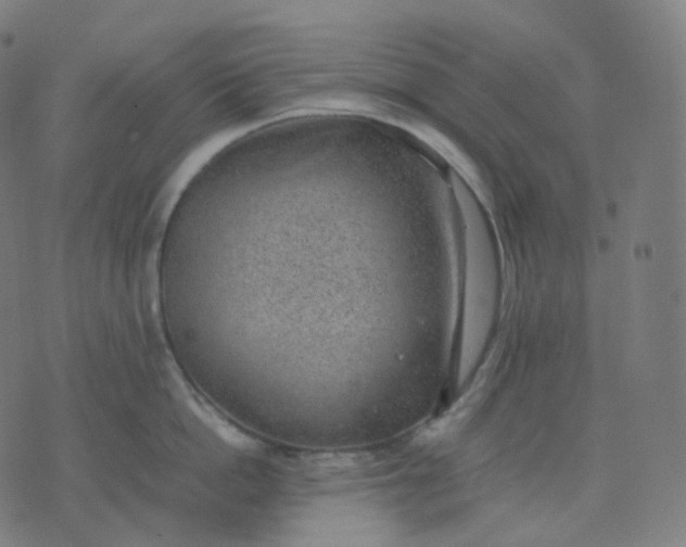 X0000070370862200606231645