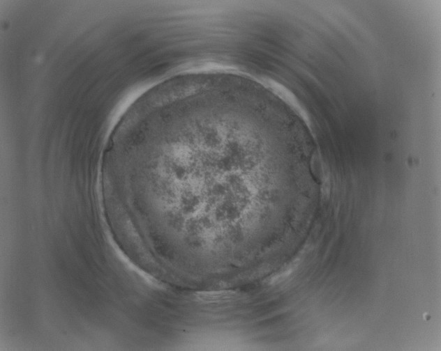 X0000070370863200606231645