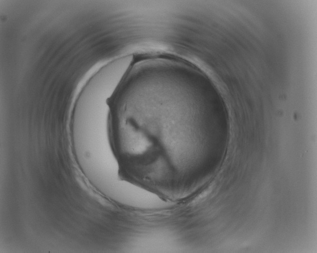 X0000070370864200606231646