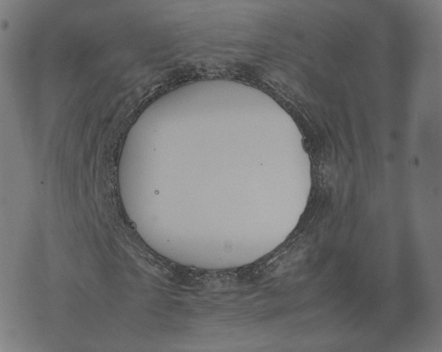 X0000070370865200606231645