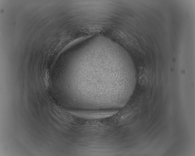 X0000070370866200606231645