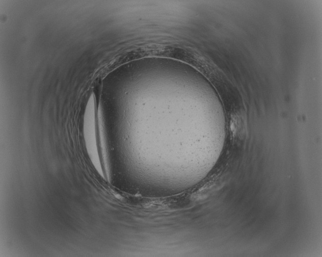 X0000070370867200606231645