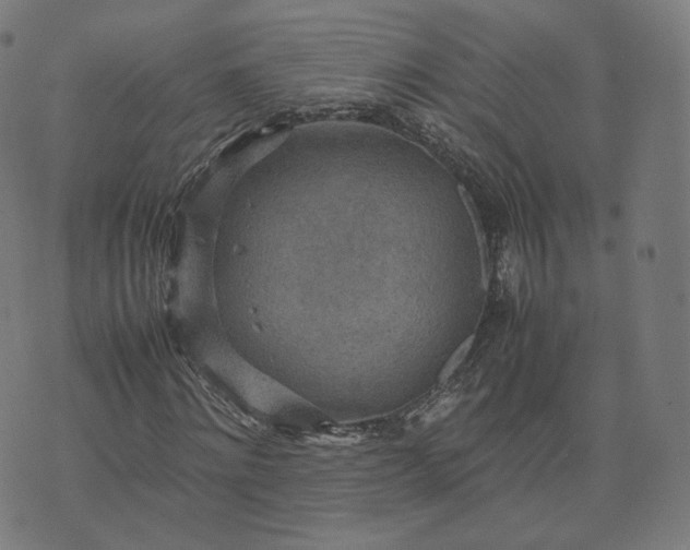 X0000070370868200606231645