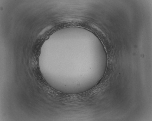 X0000070370869200606231645