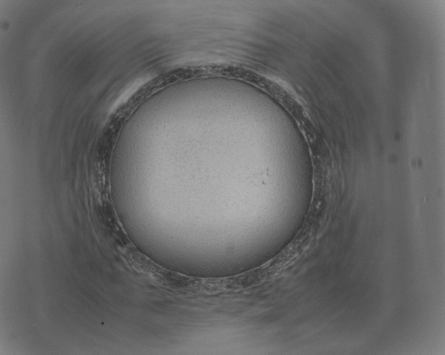 X0000070370871200606231645