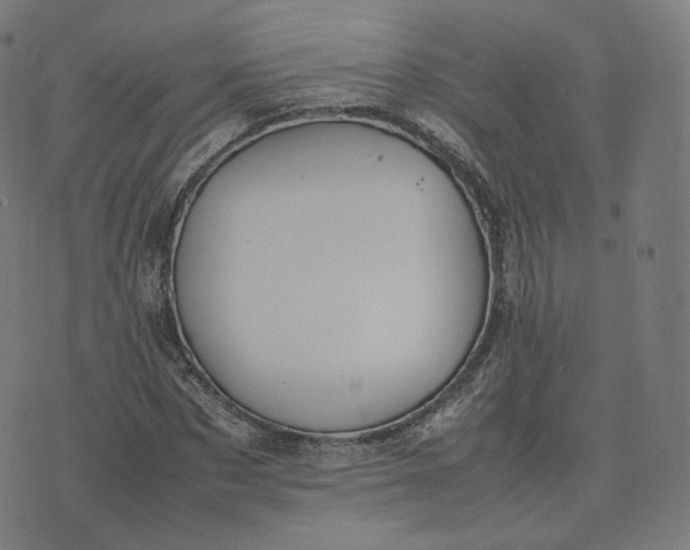 X0000070370873200606231645