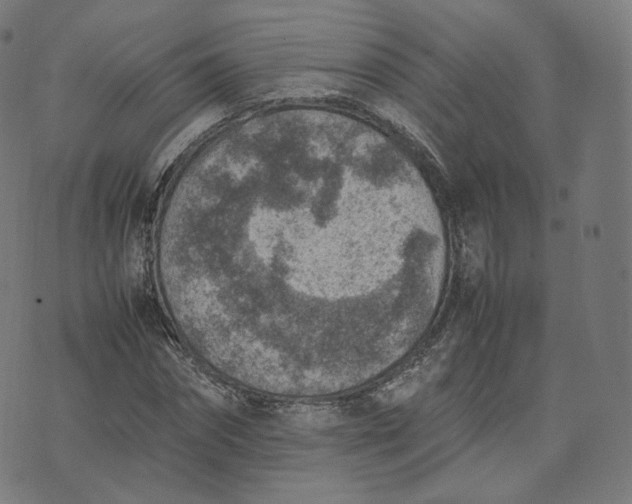 X0000070370874200606231645