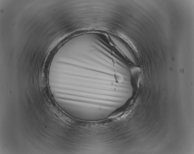 X0000070370876200606231645